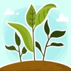 Plant Growth 3D