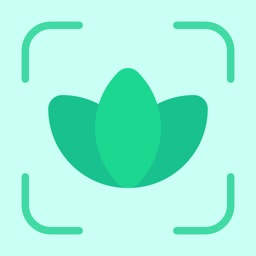 Plants Identifier: plant snap