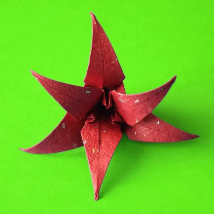 Origami Flowers Cheats