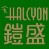 Halcyon HK&US Trading