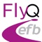 Icon FlyQ EFB