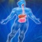 Test and evolve your information answering the questions and learn new knowledge about Digestive System by this app