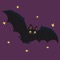 Welcome to our Bat VPN application