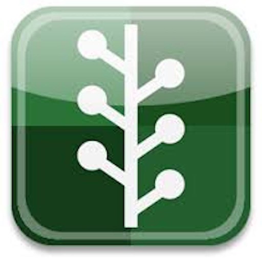 My Bible Quotes Download