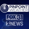 Icon Pinpoint Weather - KDVR & KWGN
