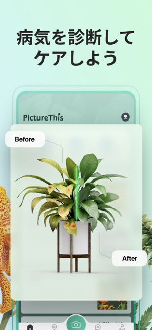 Picturethis 撮ったら 判る 1秒植物図鑑 をapp Storeで