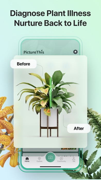 PictureThis - Plant Identifier iphone images