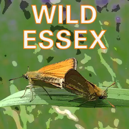 Wild Essex Cheats