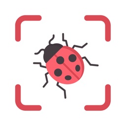 Bug Identifier icon