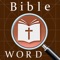 Icon Giant Bible Word Search Puzzle