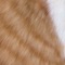 This app simulates a cat's fur