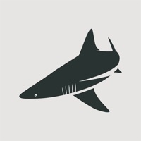 BlacktipH Platinum Club