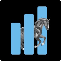 BLACKDOG Dressage Analytics