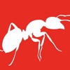红火蚁