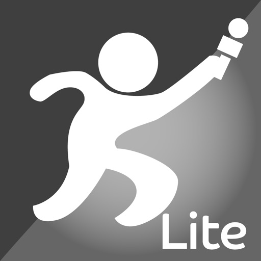 Report-IT Lite Download