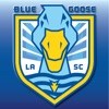 Blue Goose Soccer