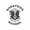 Sheepdog School - Ewan Irvine