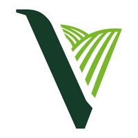 La Vigne pour PC