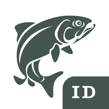 West Coast Fish ID Cheats