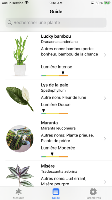Plantes et Lumière Plantes et Lumière