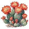 Western Desert Cactus