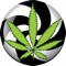 420Portal is a Worldwide Cannabis App where you can Learn, Share and Connect with others like you