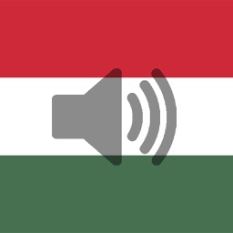 Hungarian Phrasebook