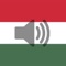 Ultimate Hungarian Phrasebook: Master the Language with Ease