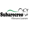 Subarecreo