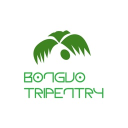 BongvoTripEntry