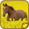 Horse Jigsaw Puzzles - Brain Training Games