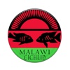 Malawi Cichlid