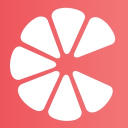 iChipN
