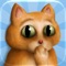 You are a cat