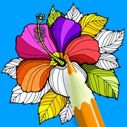 Coloring Book - Adult Color Book Therapy