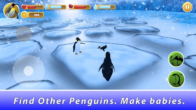 Penguin Family Simulator(圖2)-速報App