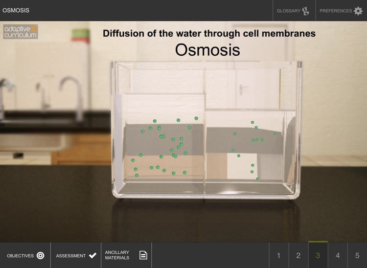 Exploring Osmosis