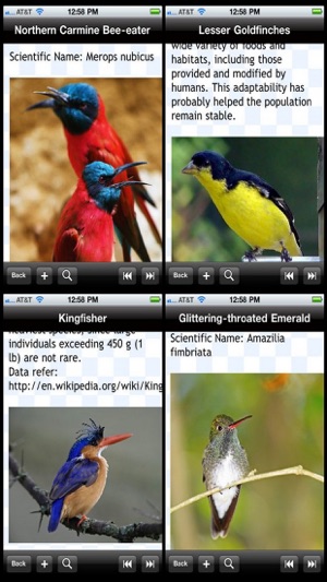 Birds Encyclopedia(圖2)-速報App