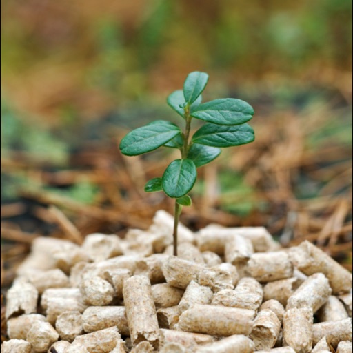 Herts WoodFuel