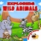 Welcome to the wonderful world of wild animals