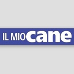 Il Mio Cane