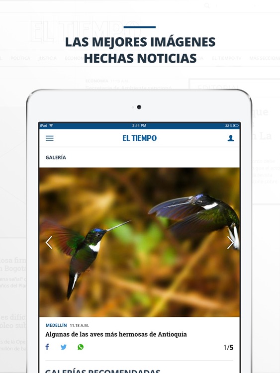 periódico EL TIEMPO screenshot-3