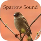 Sparrow Sounds - Free Sounds