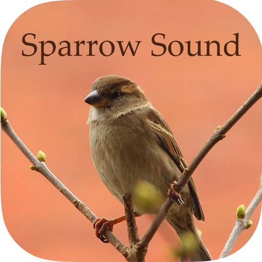 Sparrow Sounds - Free Sounds Icon