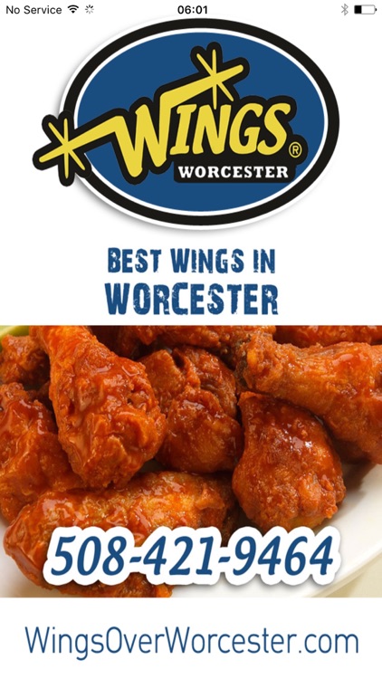 Wings Over Worcester