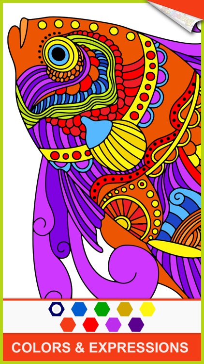 Coloring Book - Adult Color Book Therapy