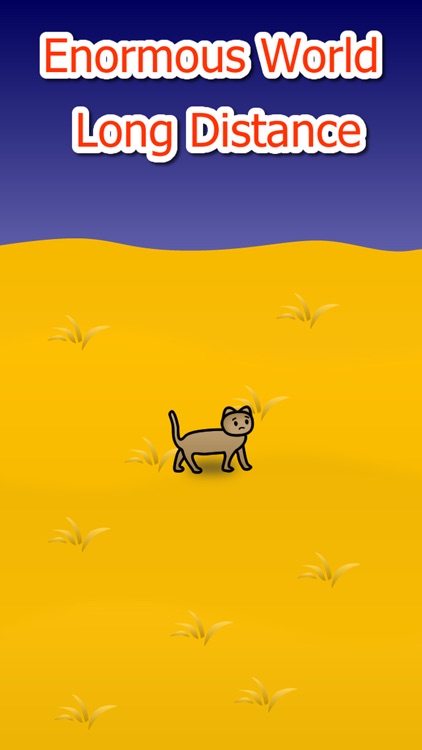 Cat Adventure