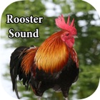 Top 23 Entertainment Apps Like Rooster Sound – Rooster Crowing Sound - Best Alternatives
