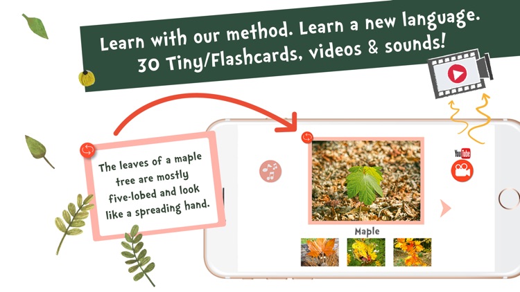 Sami Tiny FlashCards forest adventures kids apps