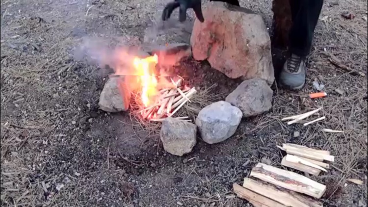 Camping - A Survival Guide screenshot-3